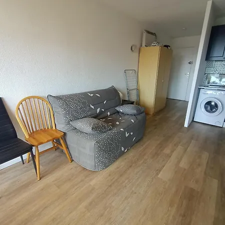 Confortable Avec Climatisation Et Animaux Acceptés Au Barcarès - Fr-1-799-46 Appartement *