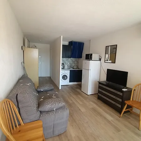 Appartement Confortable Avec Climatisation Et Animaux Acceptés Au Barcarès - Fr-1-799-46 *